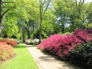 Bremen Rhododendron Park