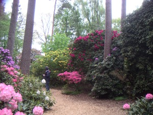 Hobbie Rhododendronpark