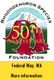 RSF