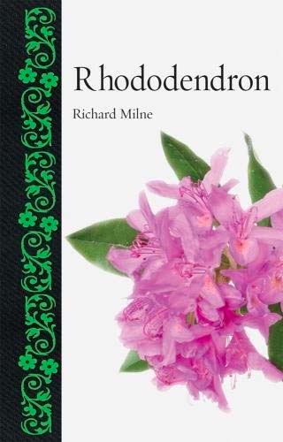 Rhododendrons - Milne